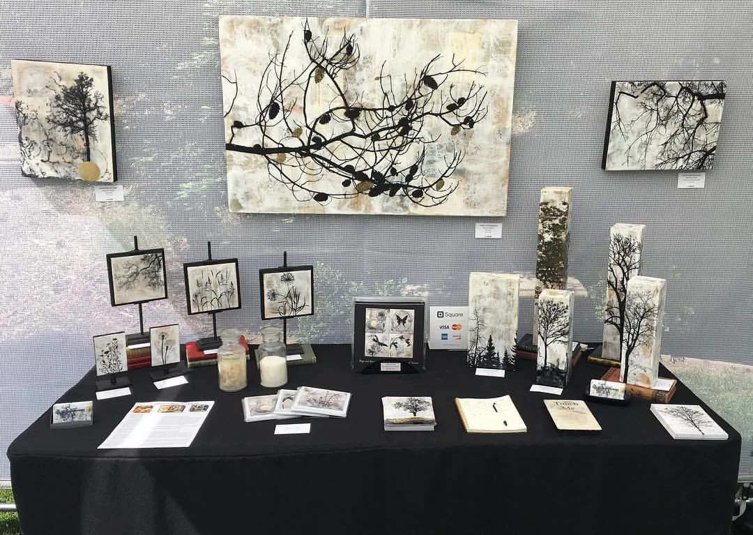 My table set up at SVOS weekend 2 in Los Gatos