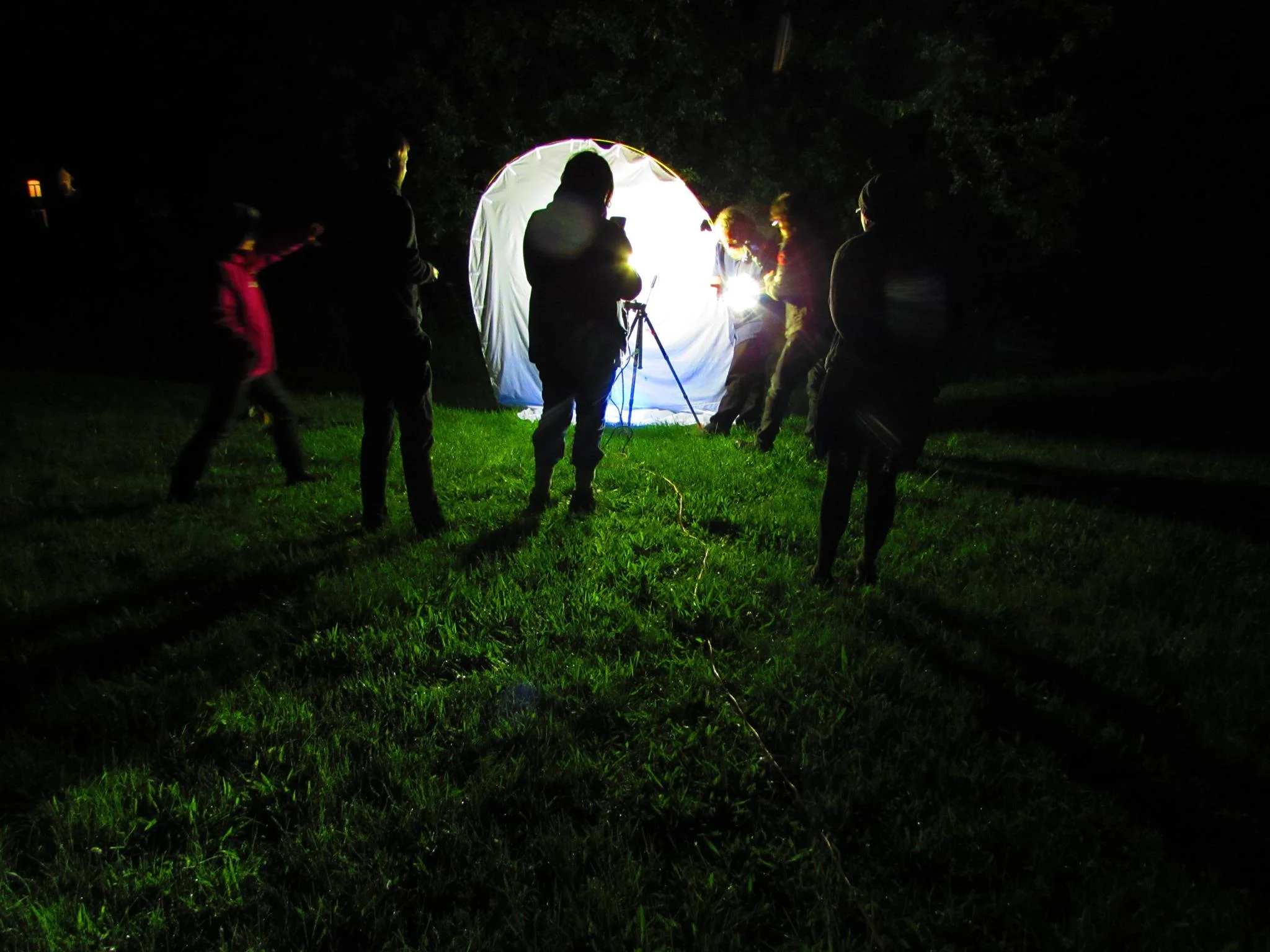 Hanging out with the moth lure.