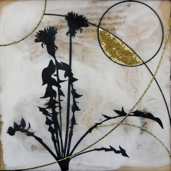 John Ray