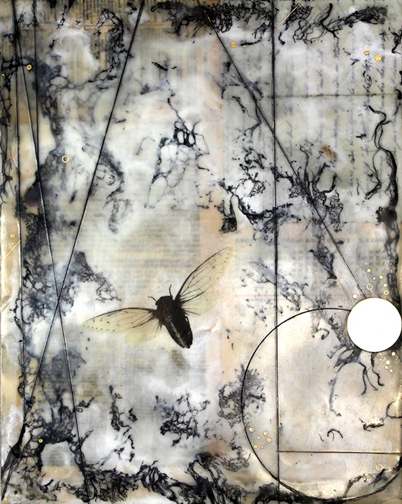Remnants_web.jpg