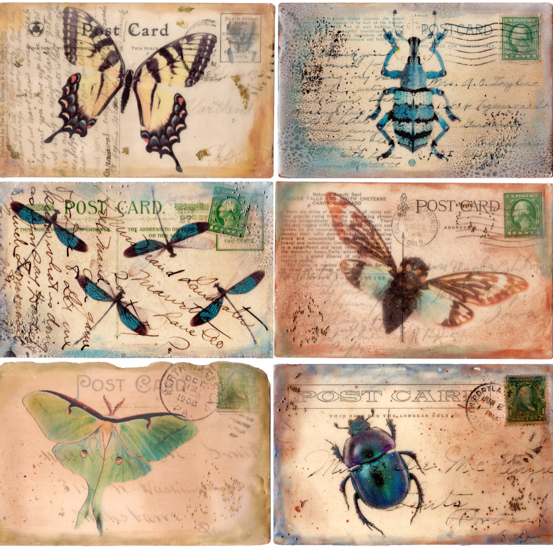 Postal Entomology