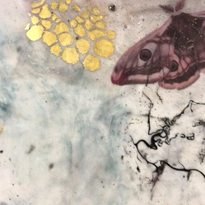 Moth and Myth, 24&rdquo;x36&rdquo; mixed media encaustic painting.
It can be very challenging trying to capture all of the depth, texture and luminosity of encaustic paintings in a photograph. Sometimes videos help. 
.
.
.
#moth #insects #insectart #