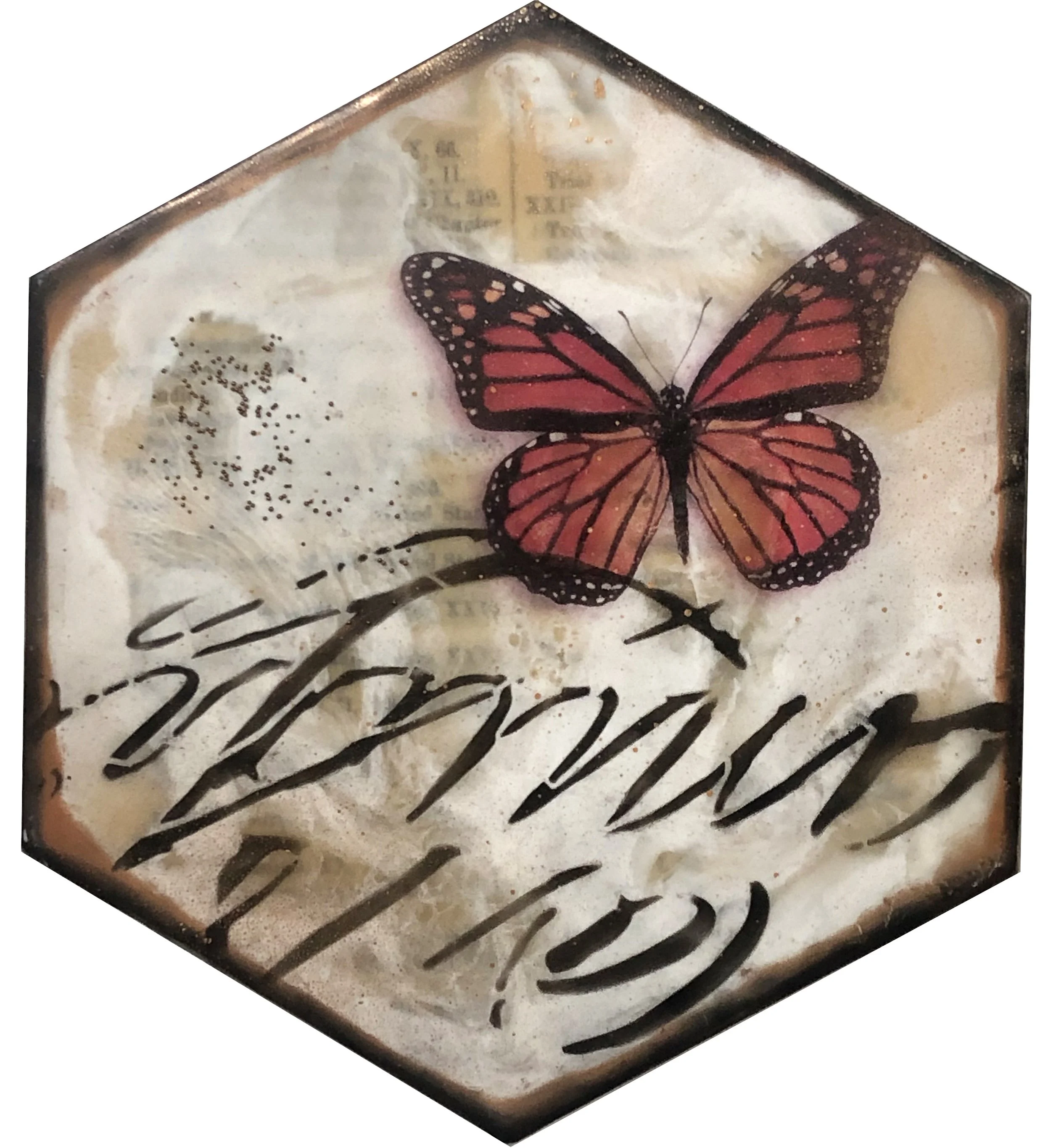 Agents of Nature - Solo Exhibition