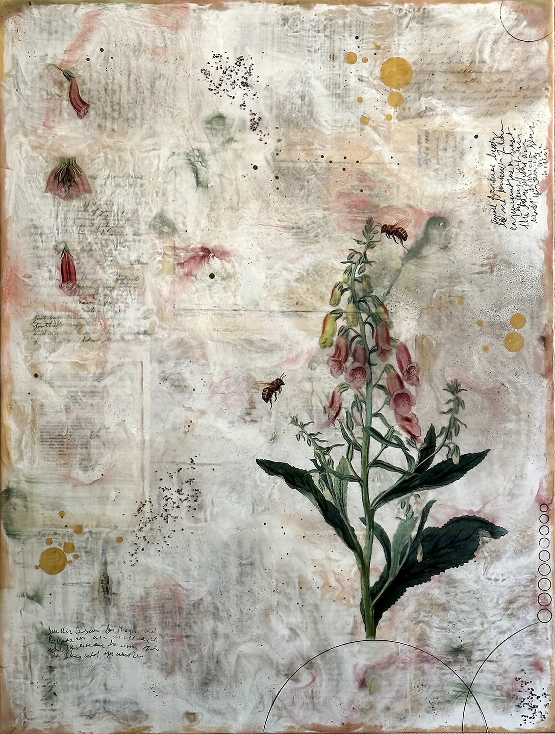 Florilegium - Solo Exhibition 