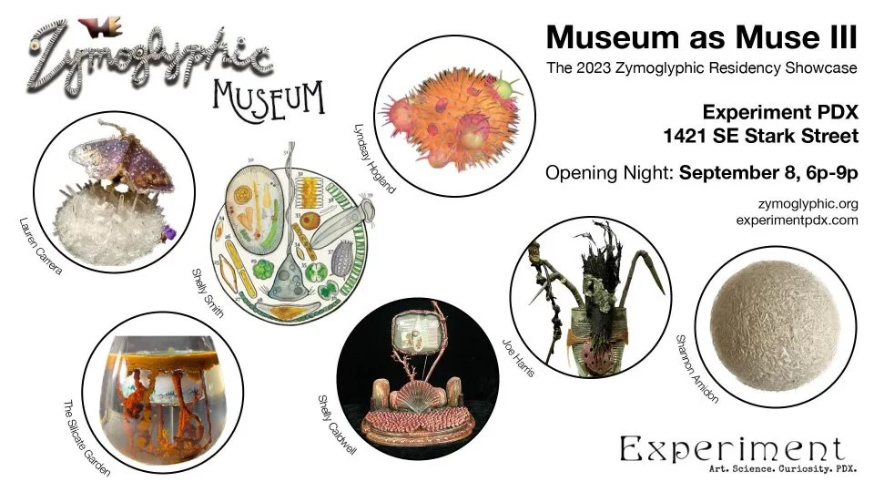 Museum as Muse III