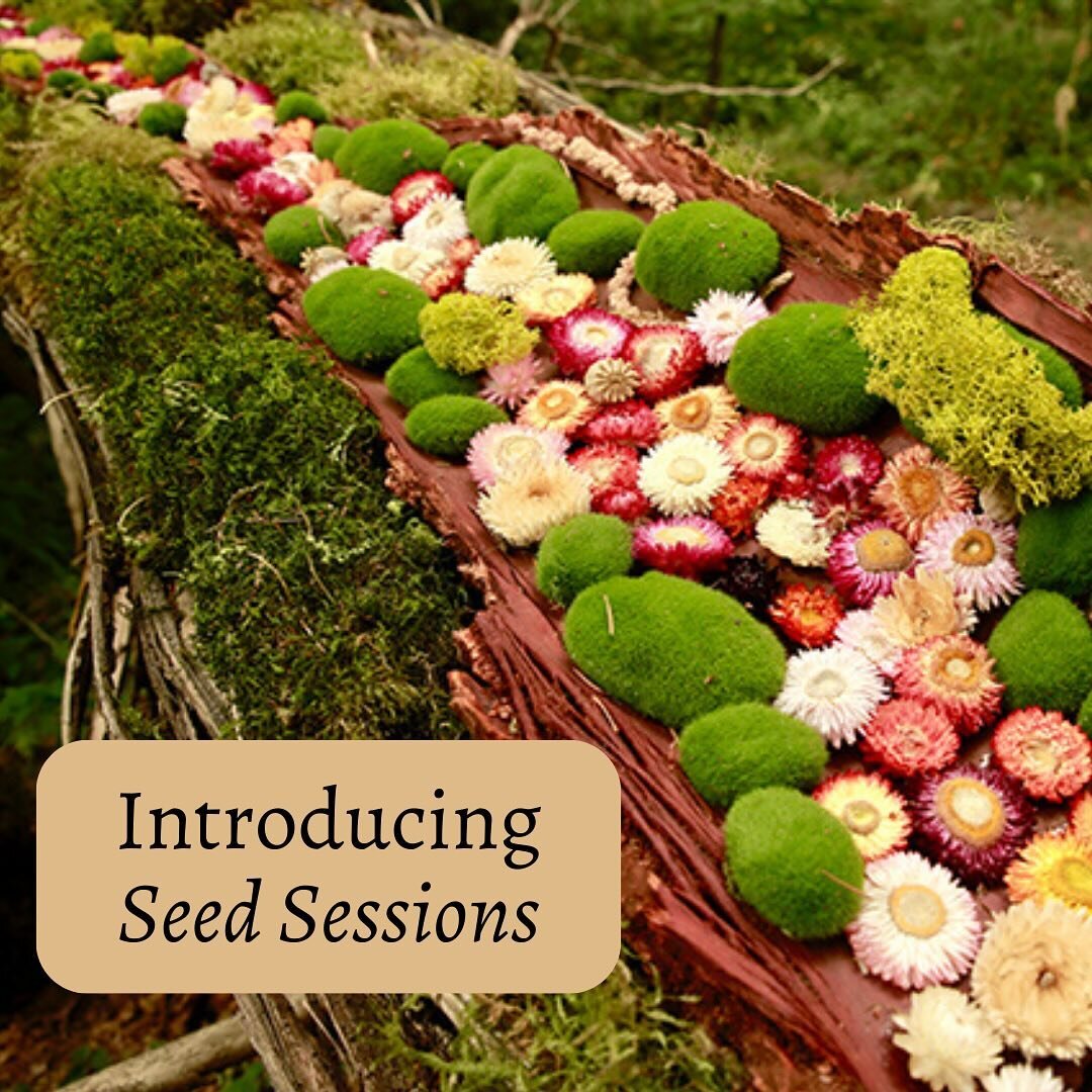 We are so excited about our new creative salon series - Seed Sessions - We hope you will join us and be transported to a realm of natural beauty and creativity. Each Seed Sessions is a celebration of the performing arts and the changing seasons. Ther