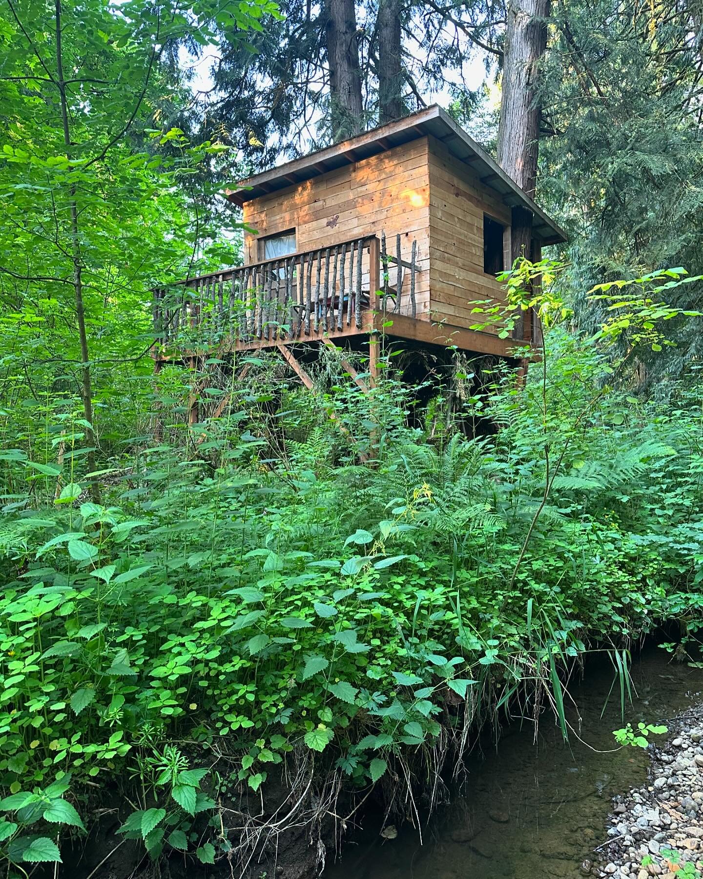 This week, we&rsquo;re showcasing some of our residents&rsquo; favorite spots around the property! First up is our magical treehouse, nestled between two majestic cedar trees and overlooking a serene creek. Whether you&rsquo;re enjoying your morning 