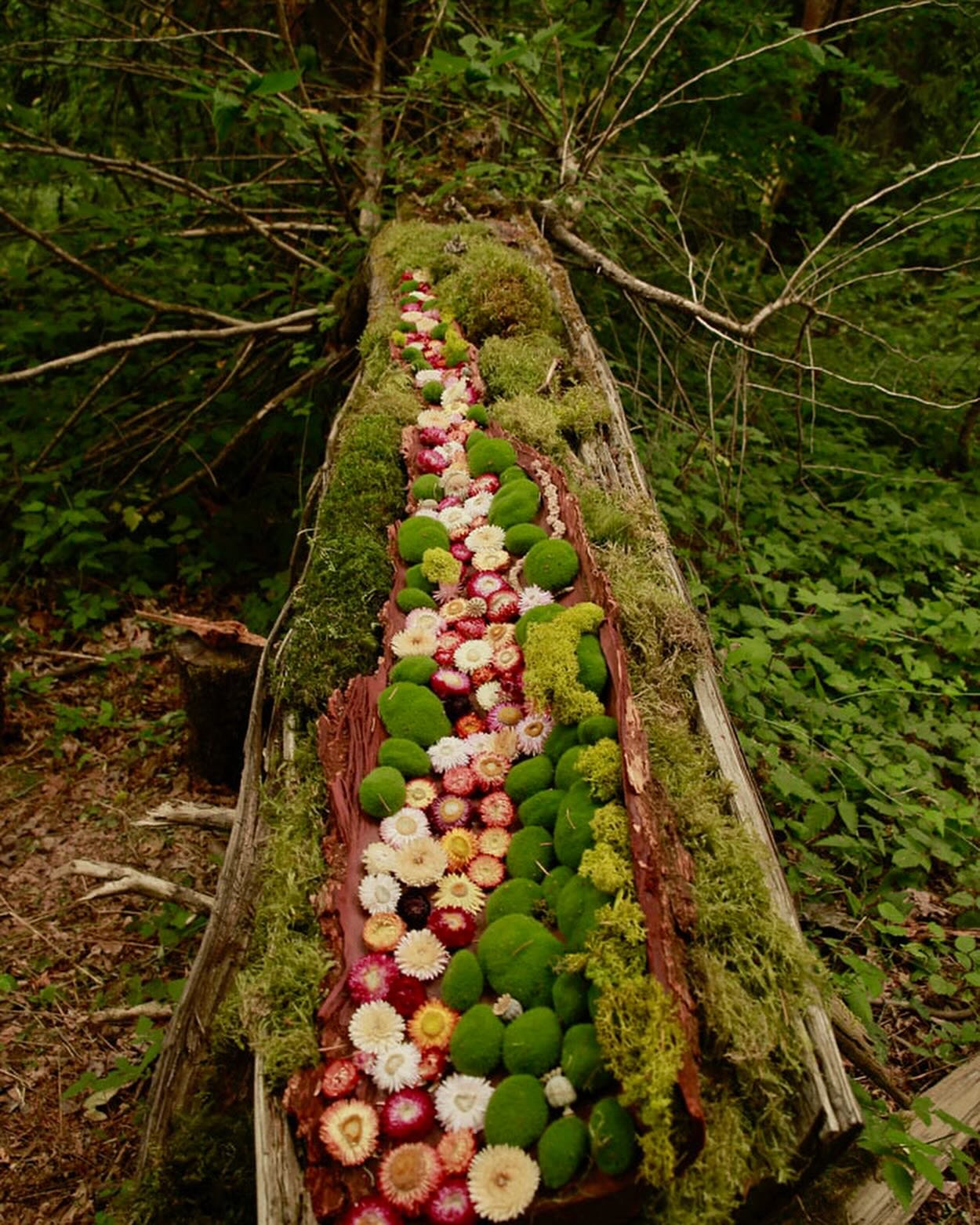 Have you ever dreamed of exploring land-based art? Our new Land Art Residency offers you the chance to step outside your creative comfort zone and experiment like never before. It&rsquo;s a unique opportunity to push the boundaries of your creative p