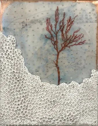 Suspended Grace - 10” x 8”