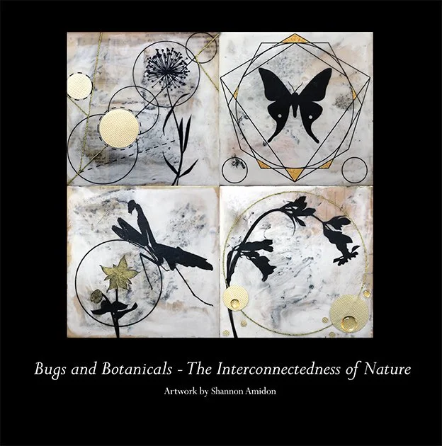 A four-panel artwork titled 'Bugs and Botanicals - The Interconnectedness of Nature' by Shannon Amidon. The top left panel depicts dandelions with circles and lines, the top right features a black butterfly within geometric shapes, the bottom left shows a dragonfly with botanical elements, and the bottom right displays a branch with flowers and circular patterns.