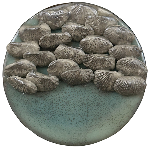 Ocean Relic VII - 5” Round