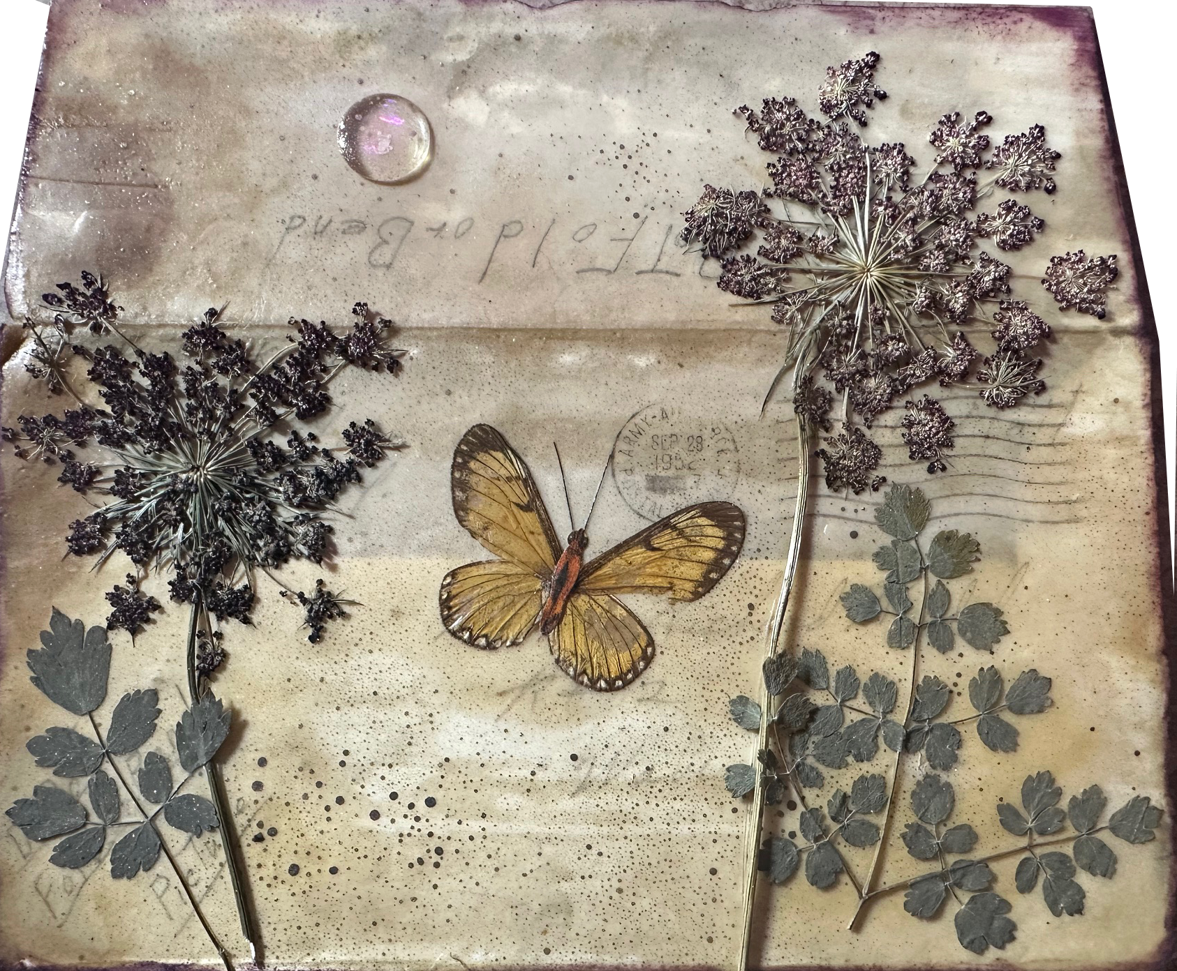 Butterfly Be Seen.png