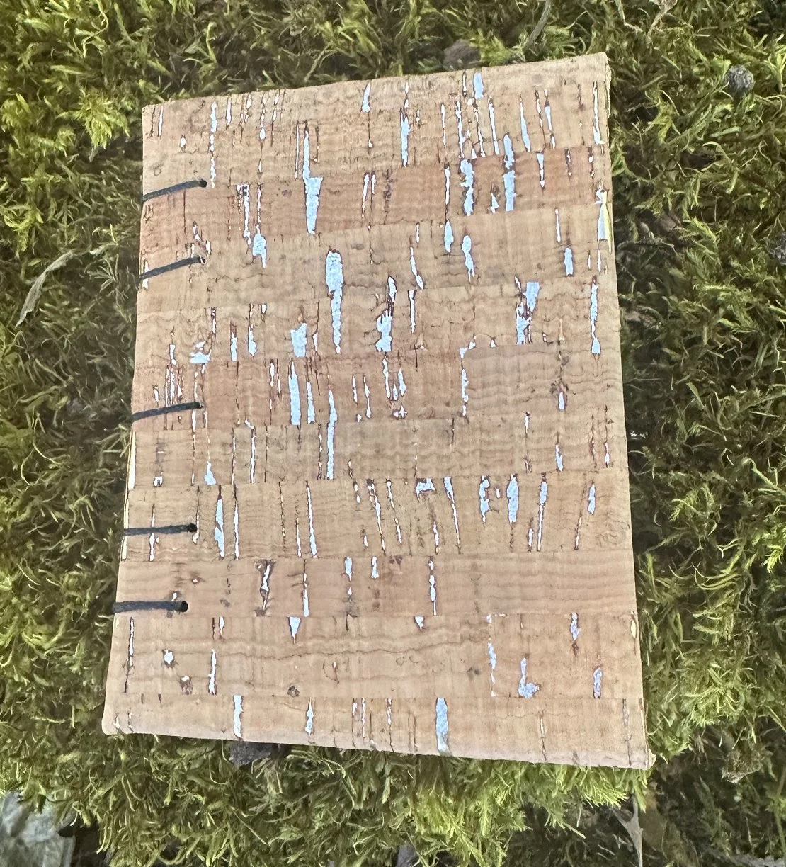 Cork and Gold Leaf Book