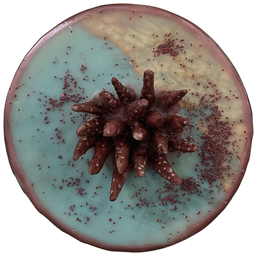 Ocean Relic X - 5” Round