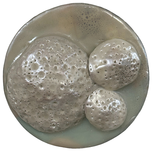 Ocean Relic XI - 5” Round