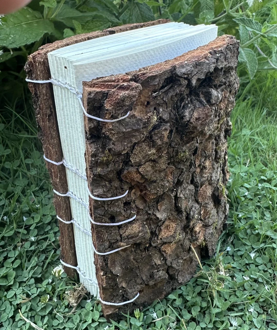 Bark Bound Book