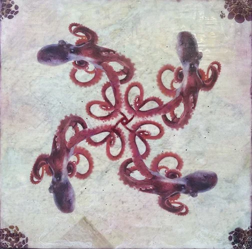 Cephalopod Symmetry - 24” x 24” 
