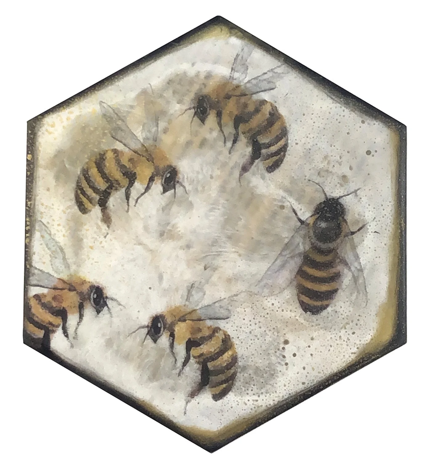 Bee Circle.jpg
