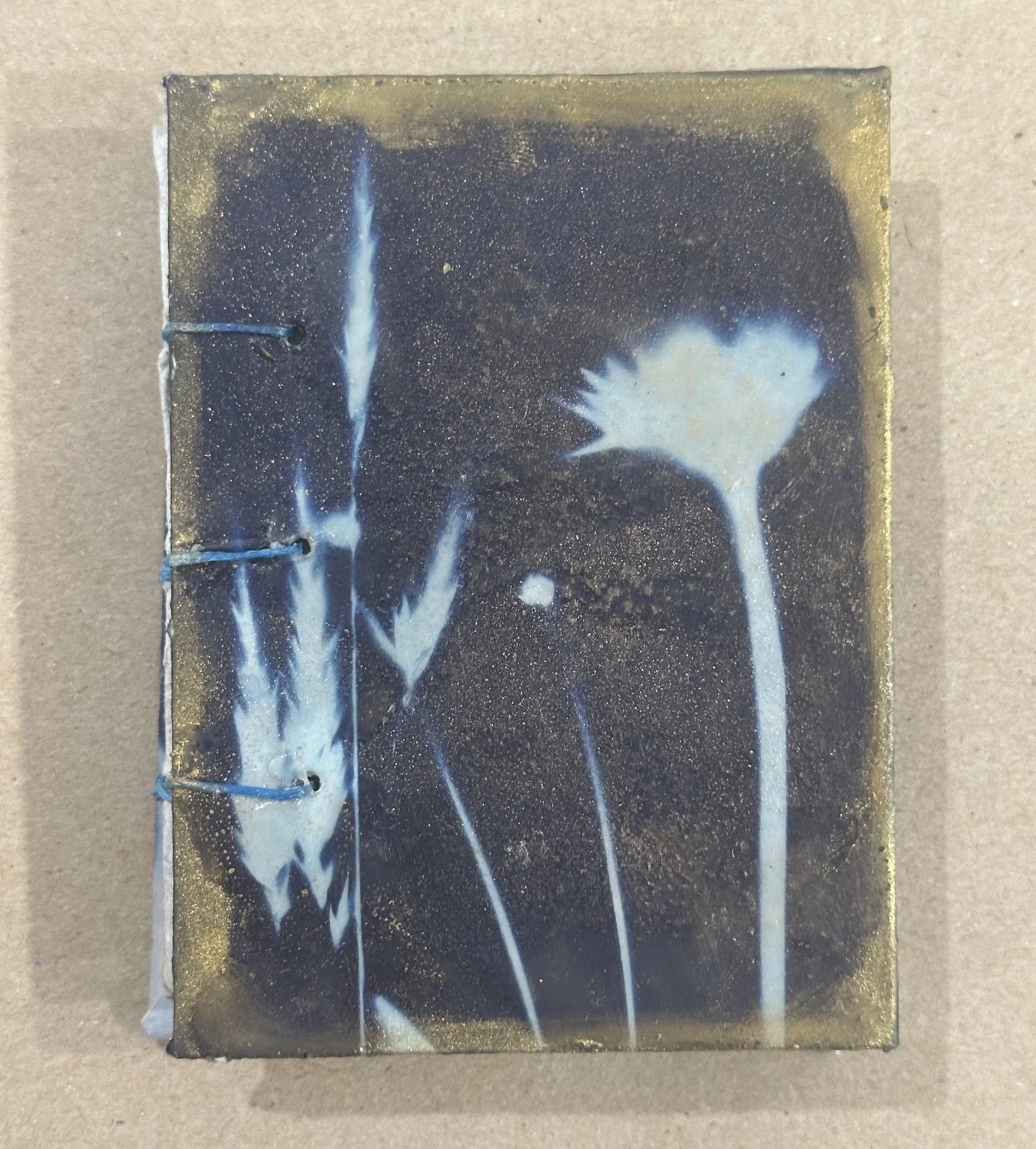 Cyanotype Cover