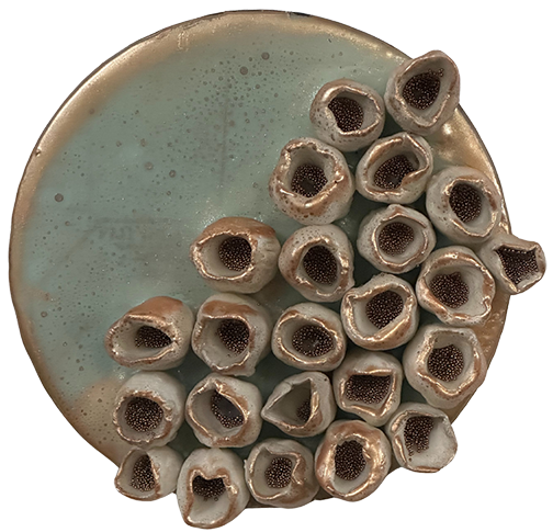 Ocean Relic II - 5” Round