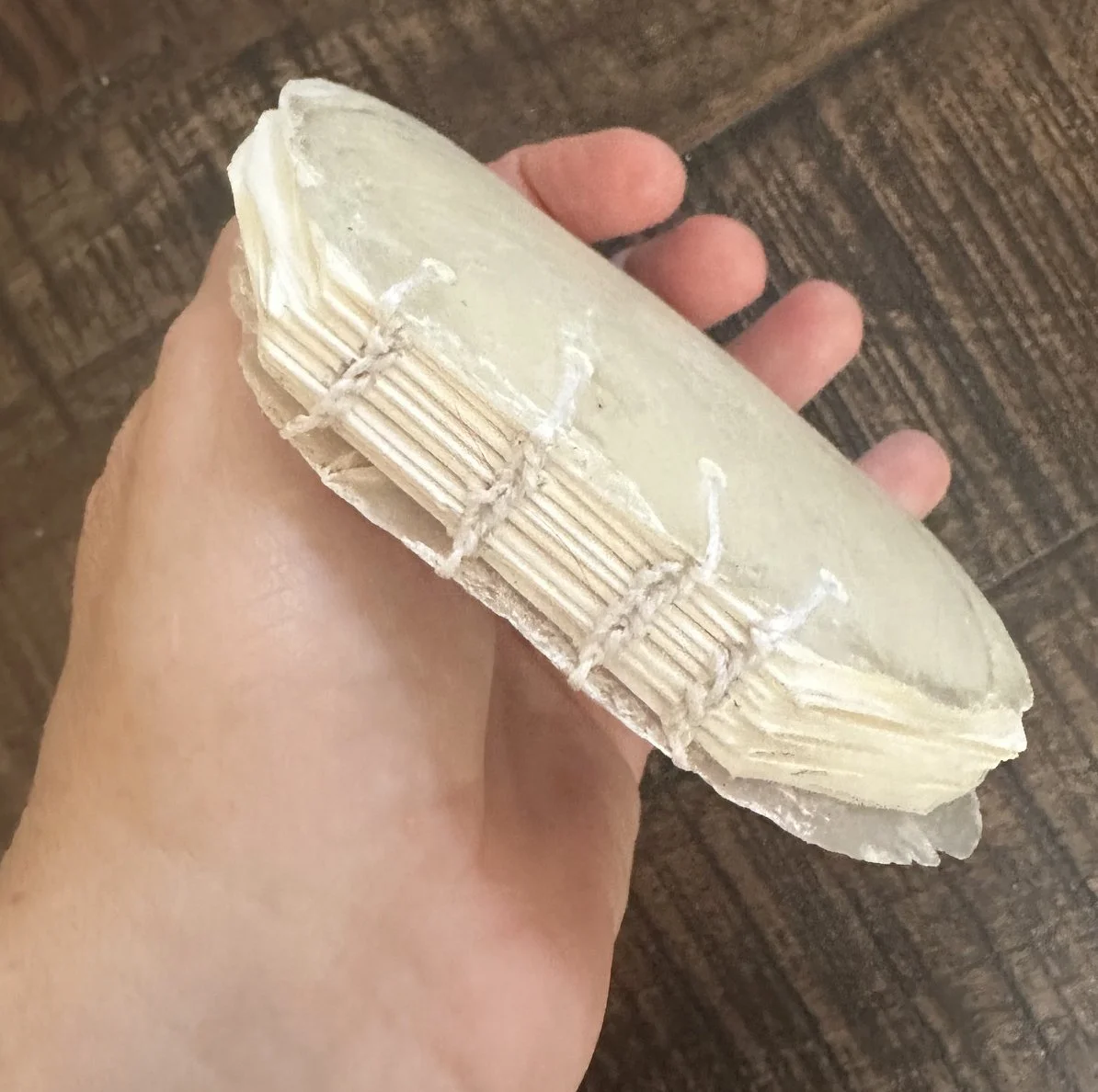 Capiz Shell Book