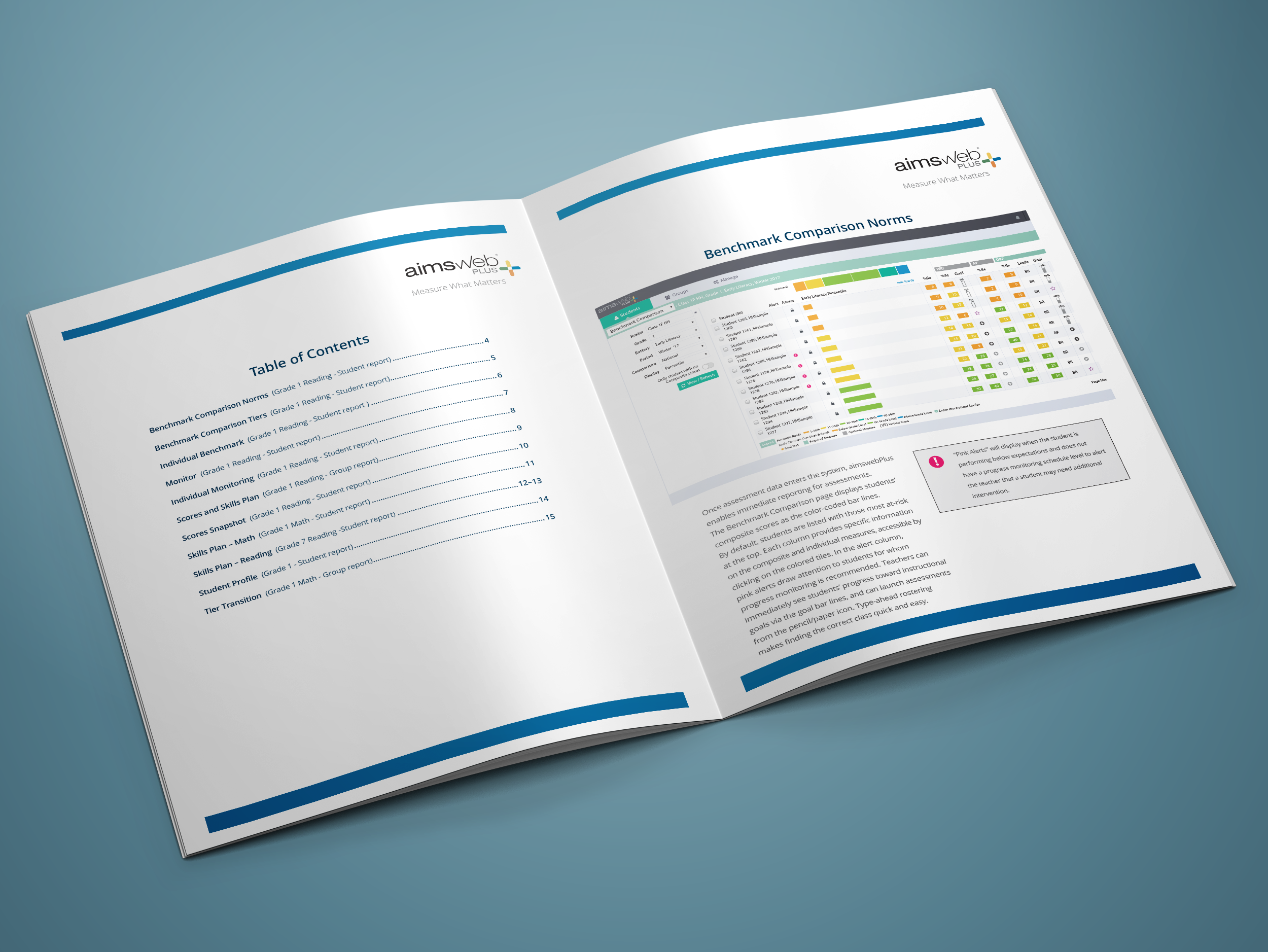 Pearson Brochure 003.png