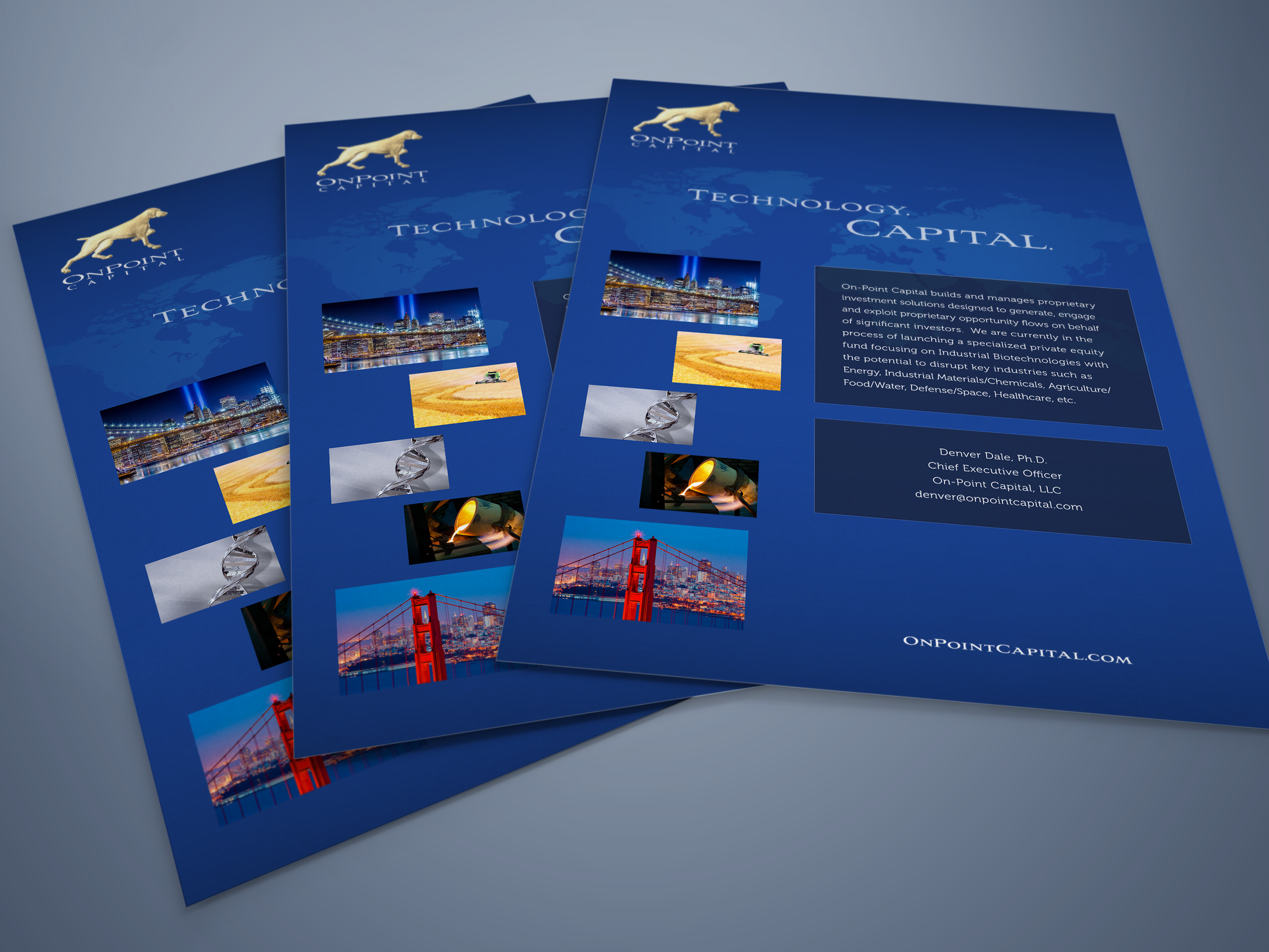 OnPoint Capital Branding 004.png