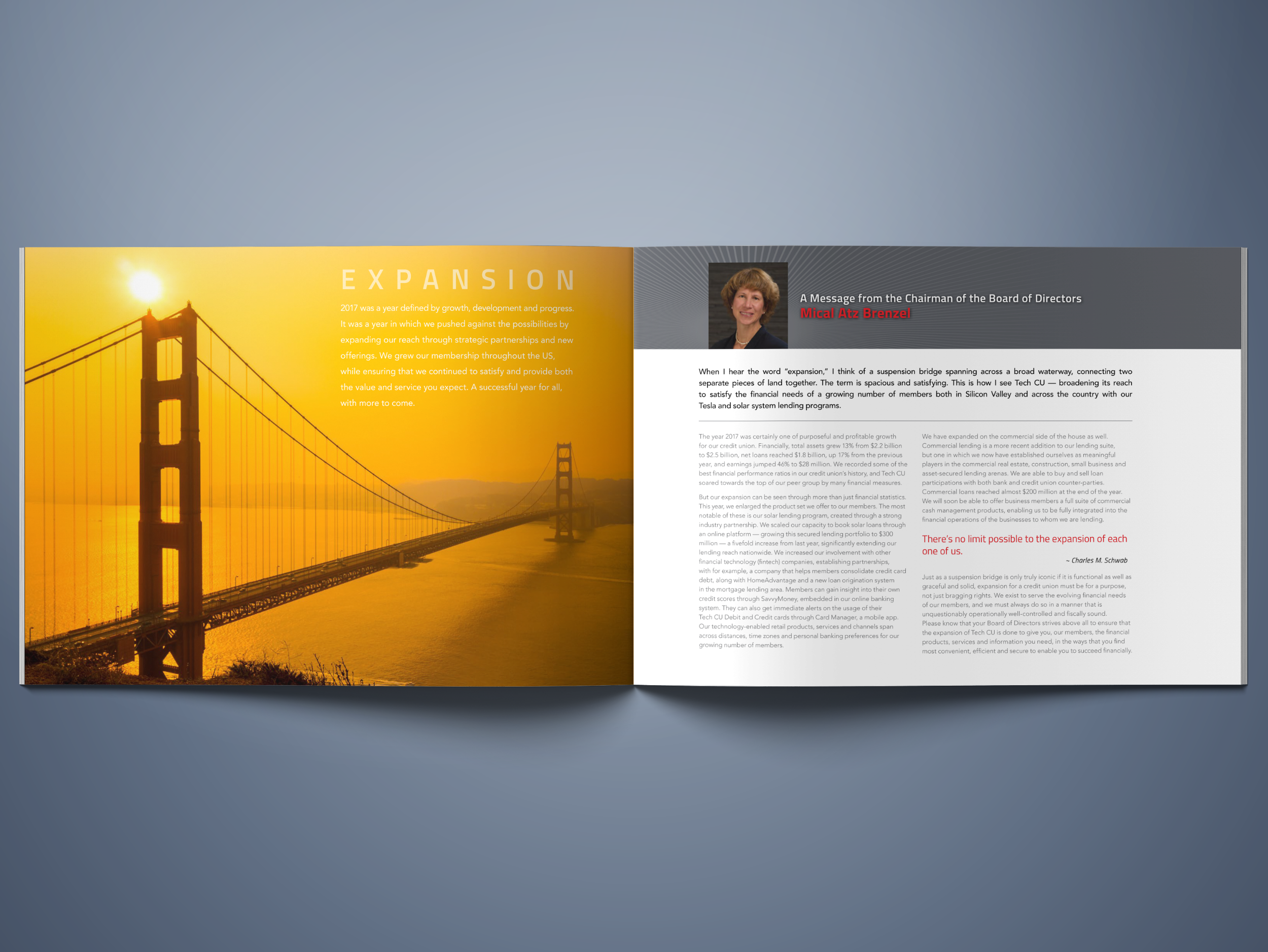TechCU Annual Report 002.png