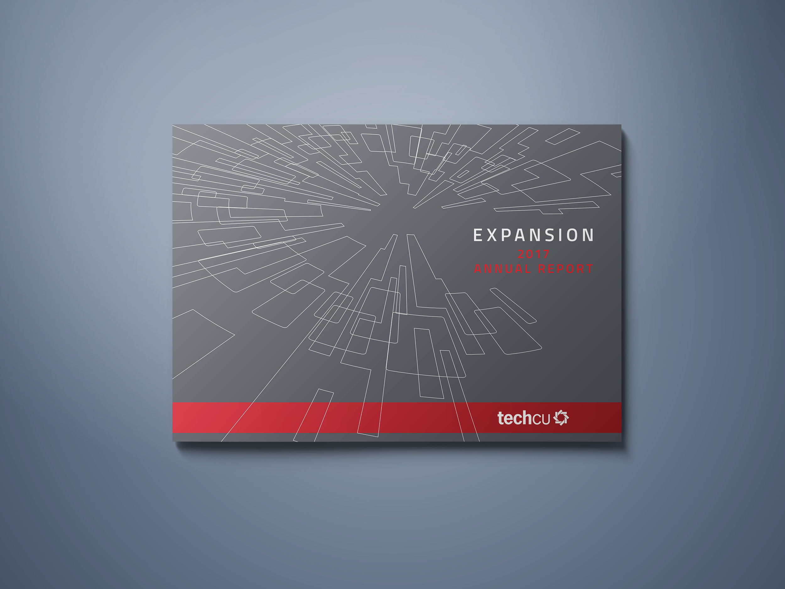 TechCU Annual Report 008.png