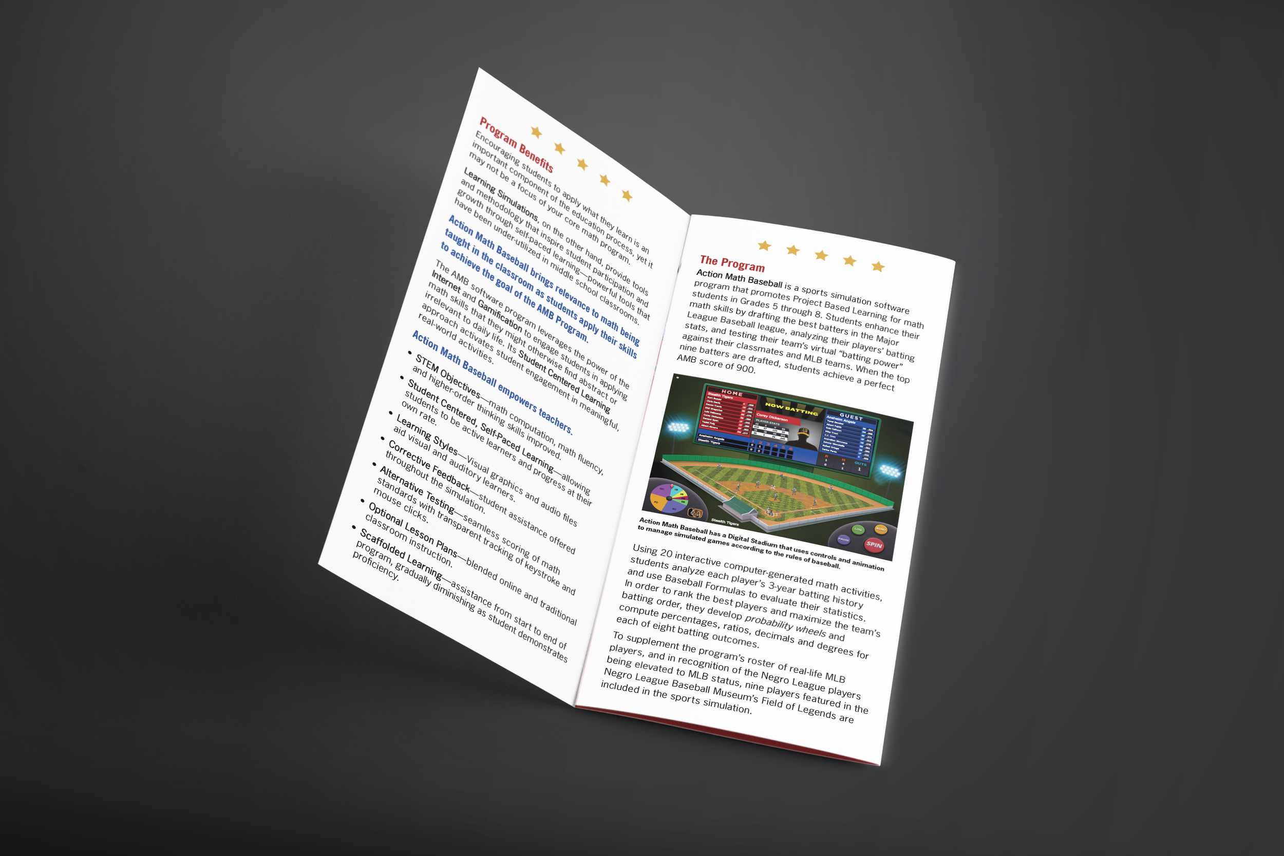 2024 AMB Tri-Fold 003.png