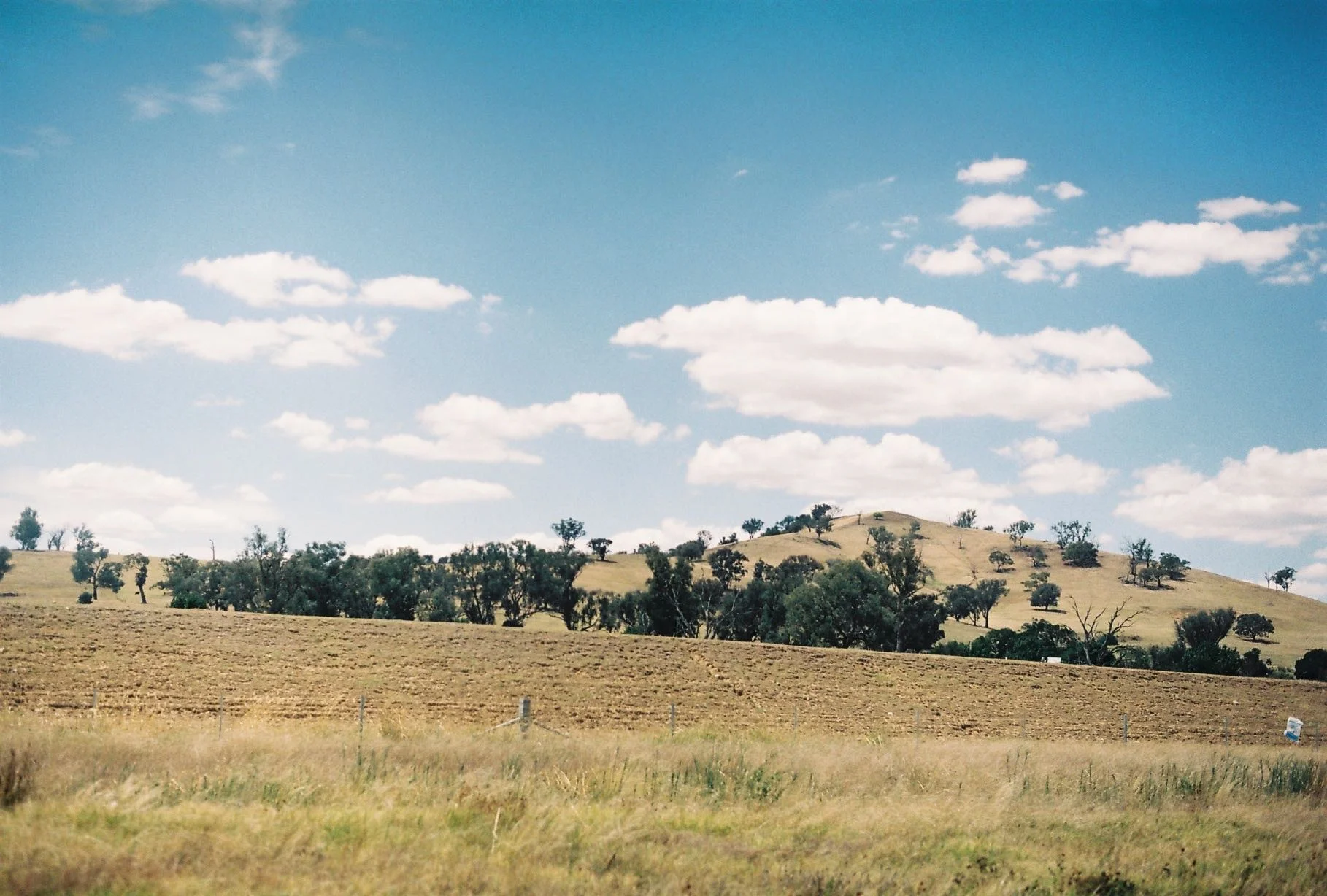 B006666-R2-15-17A.jpg