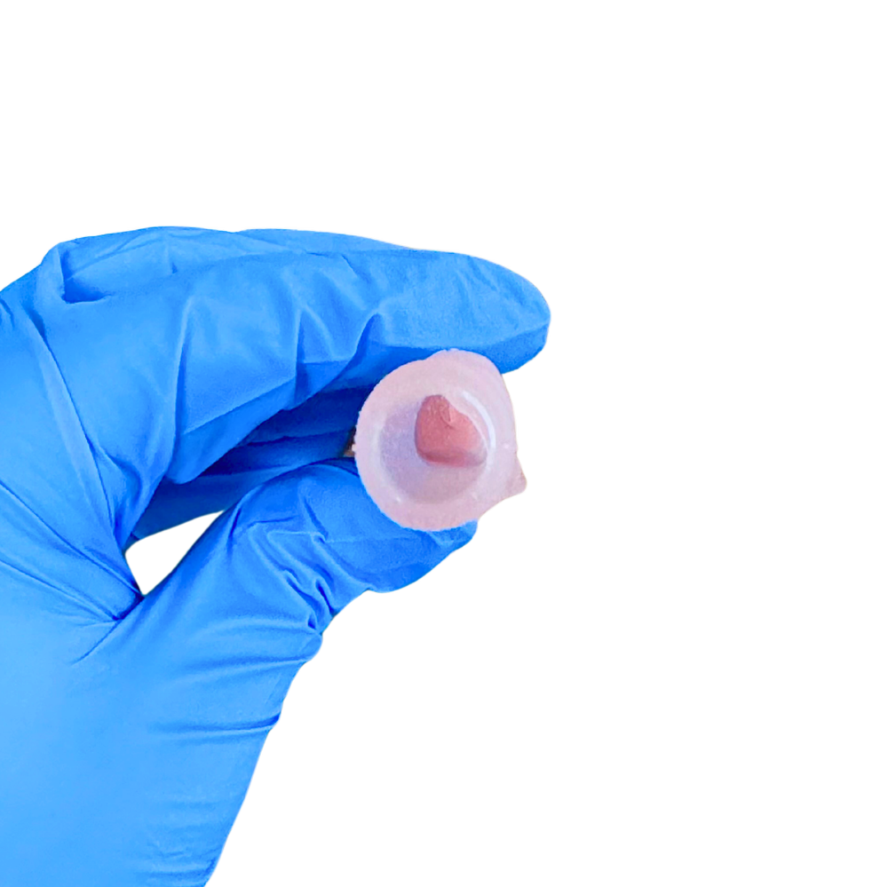 Pediatric airway surgical simulator — CT-scan derived anatomical model by MakeMedical