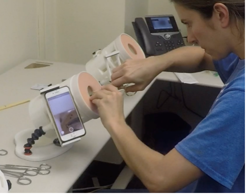 Curriculum and Assessment