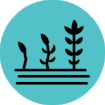 Plants.png