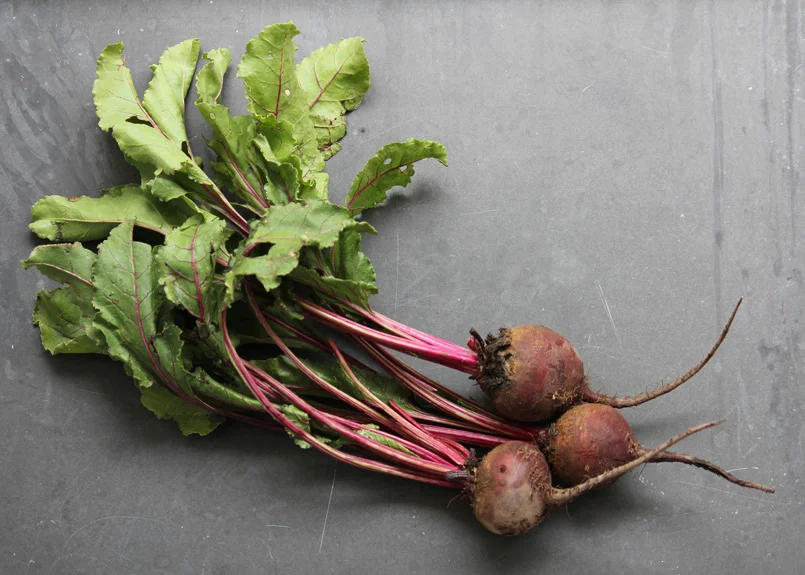 SFC_beets.jpg
