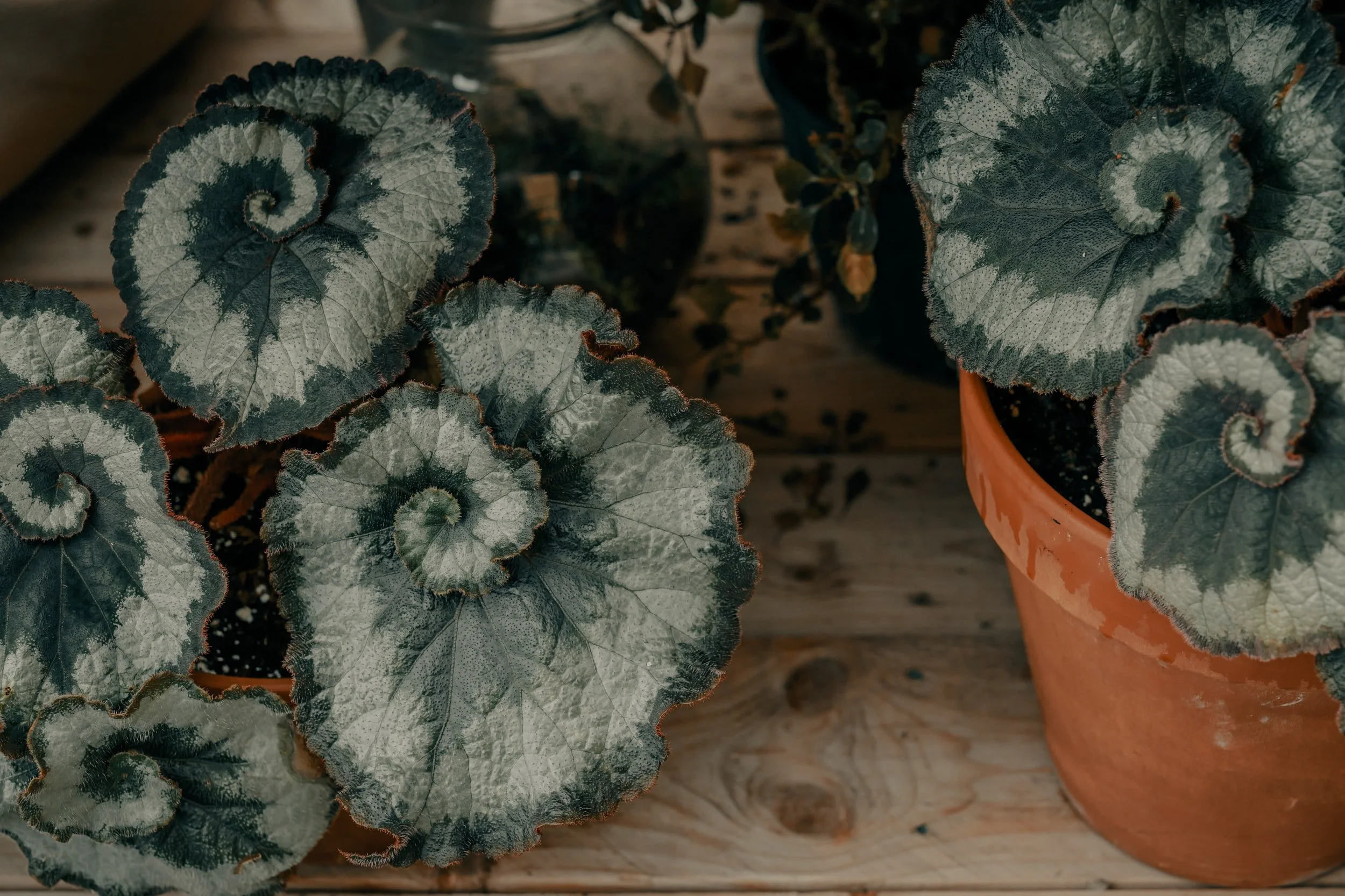 unsplash-image-8fRs4iZ0kQI.jpg