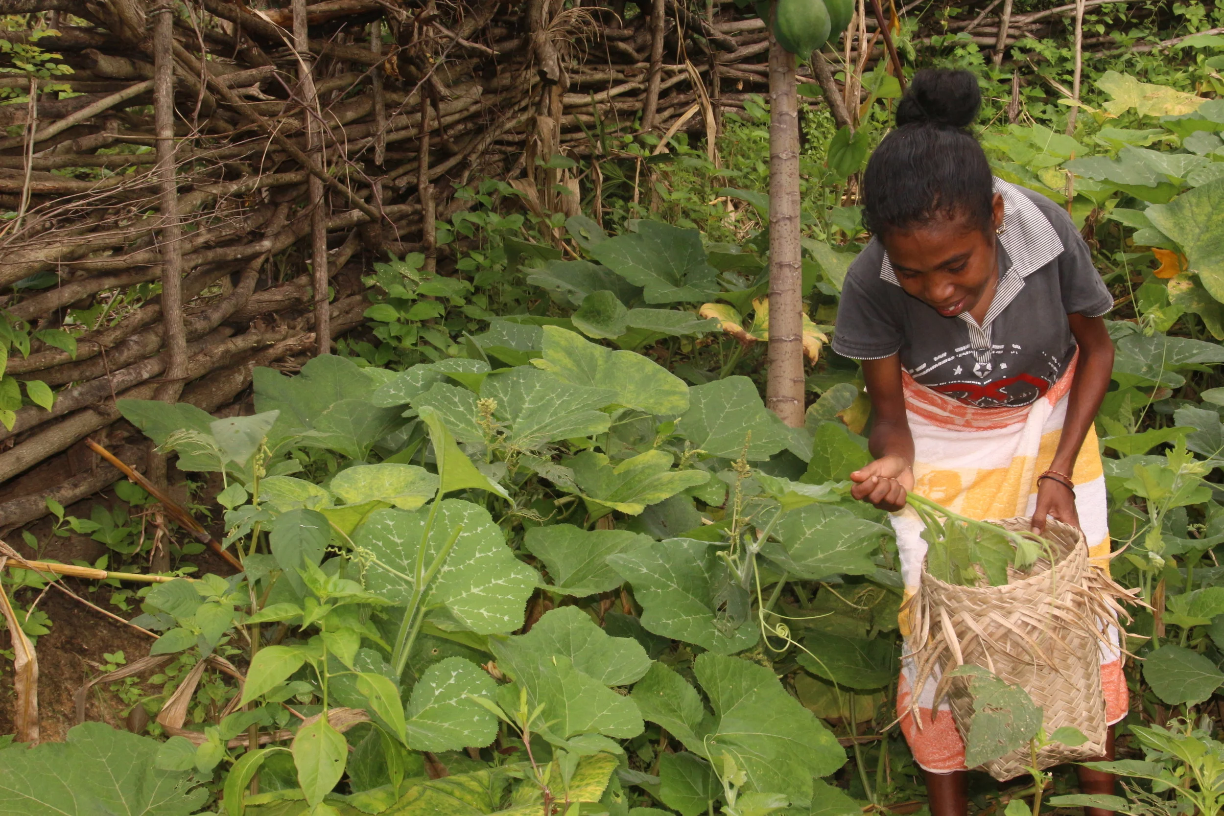 Disaster READY: People living with a disability represented on community disaster management committees - Timor-Leste