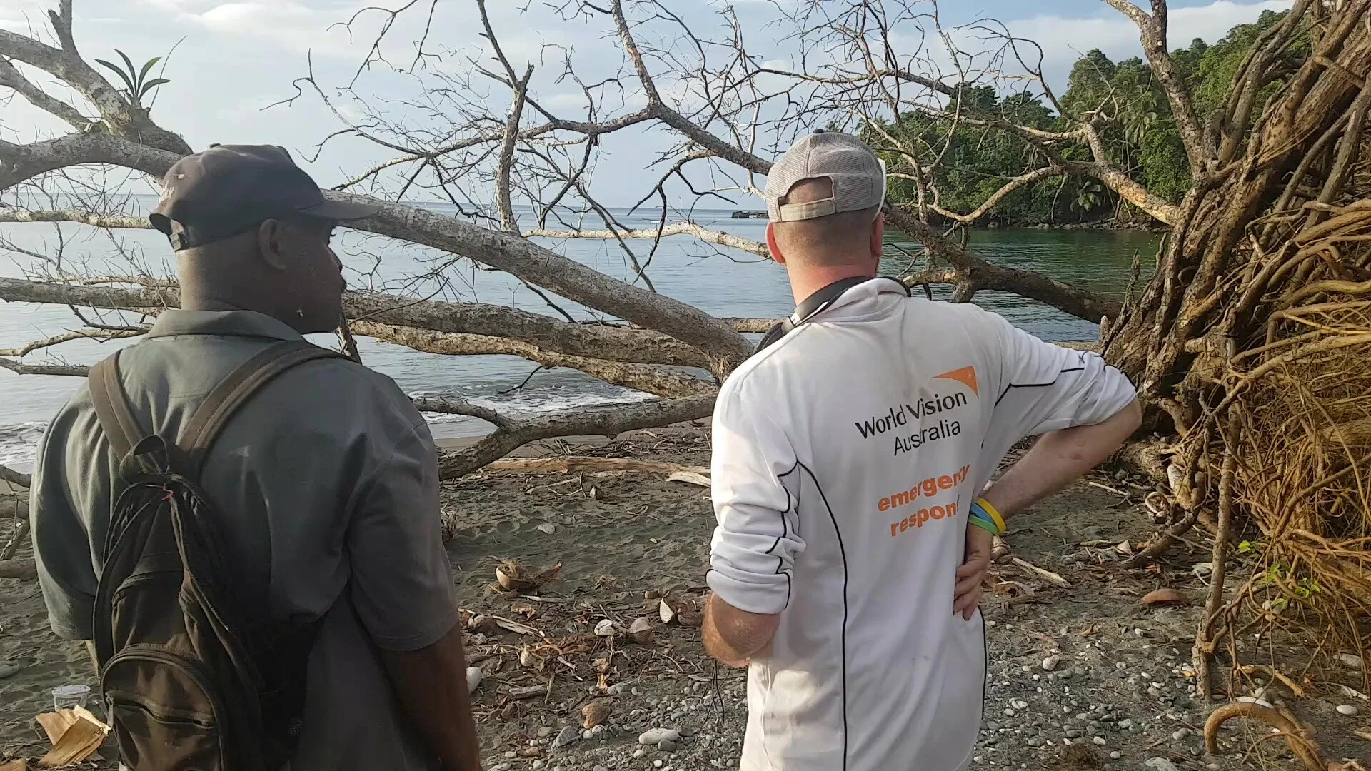 Birds bring warning of Tropical Cyclone Harold - Solomon Islands