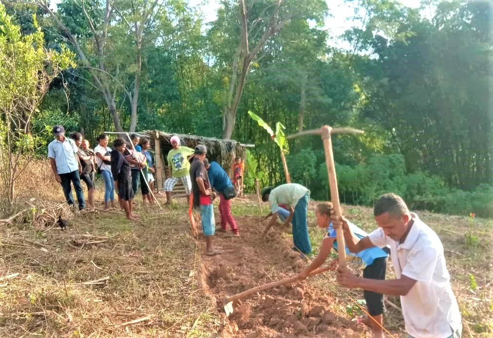 Managing hilly land for climate resilient food in Timor-Leste