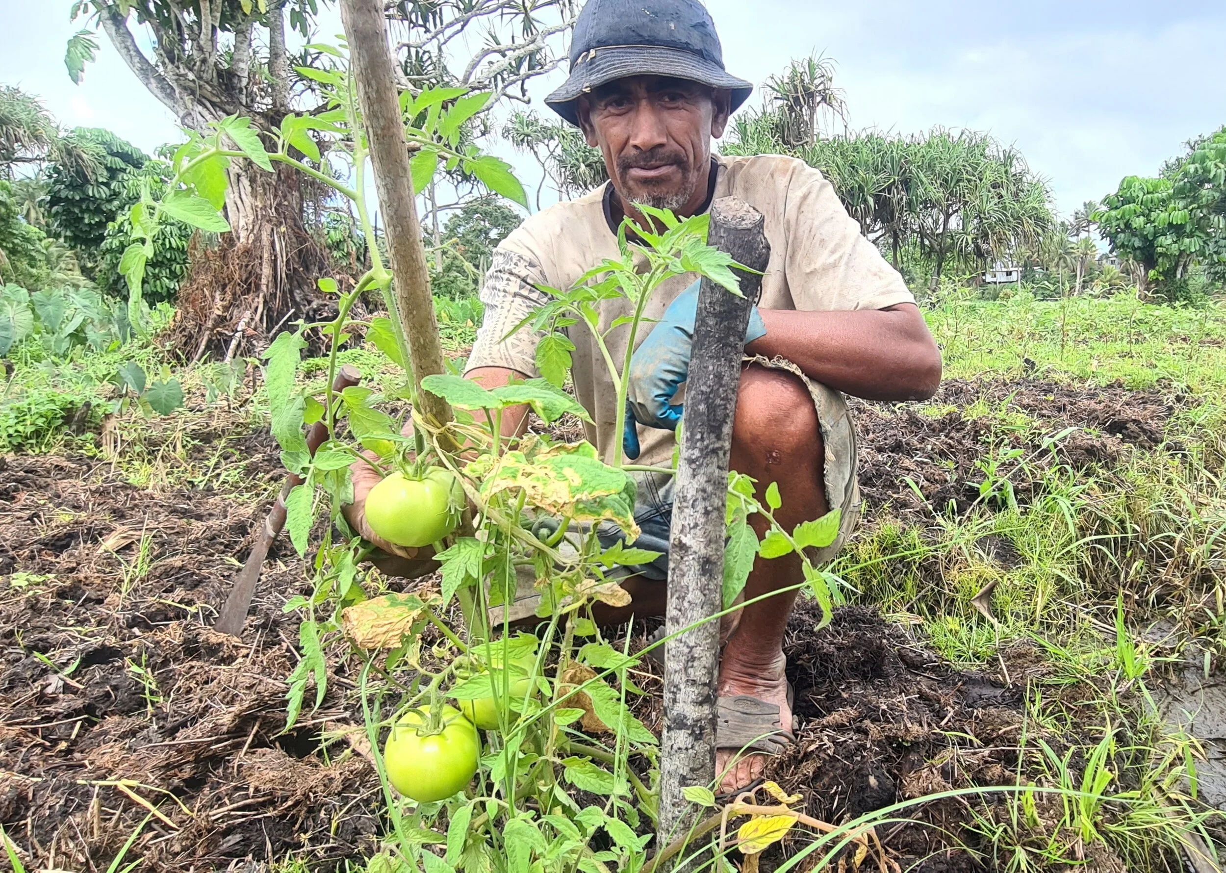 Cushioning the economic impacts of COVID-19 in Fiji