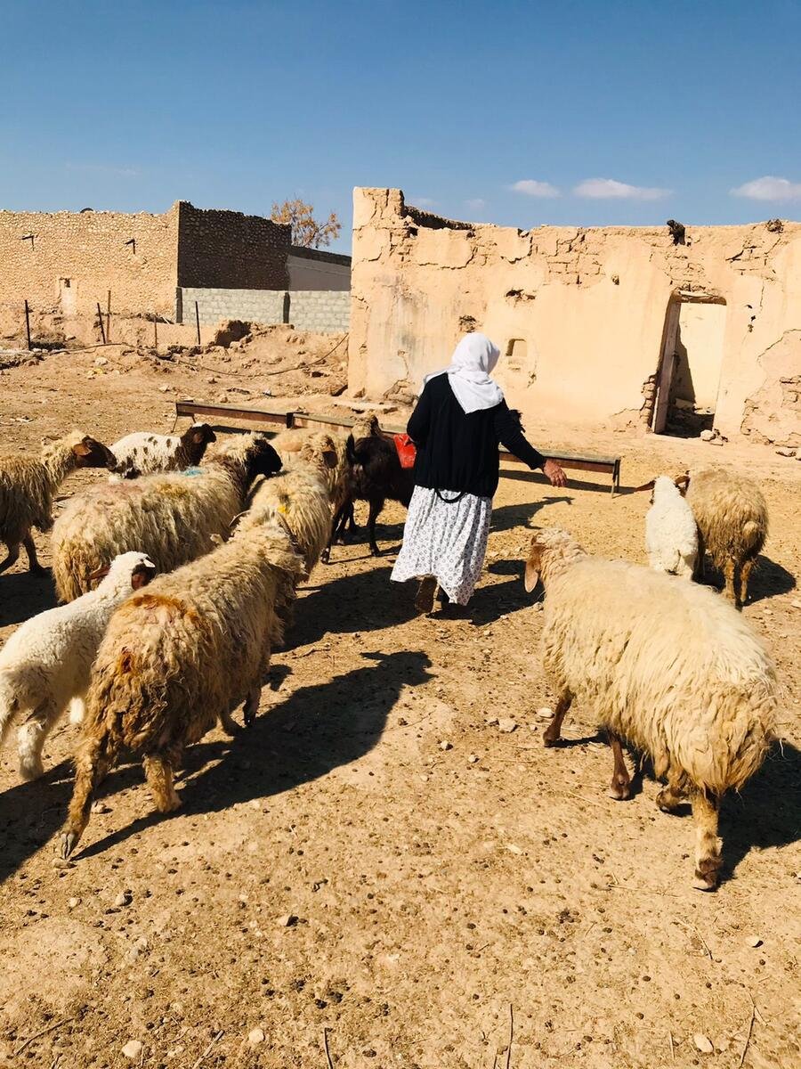 Rebuilding life and livelihoods for women survivors of ISIS