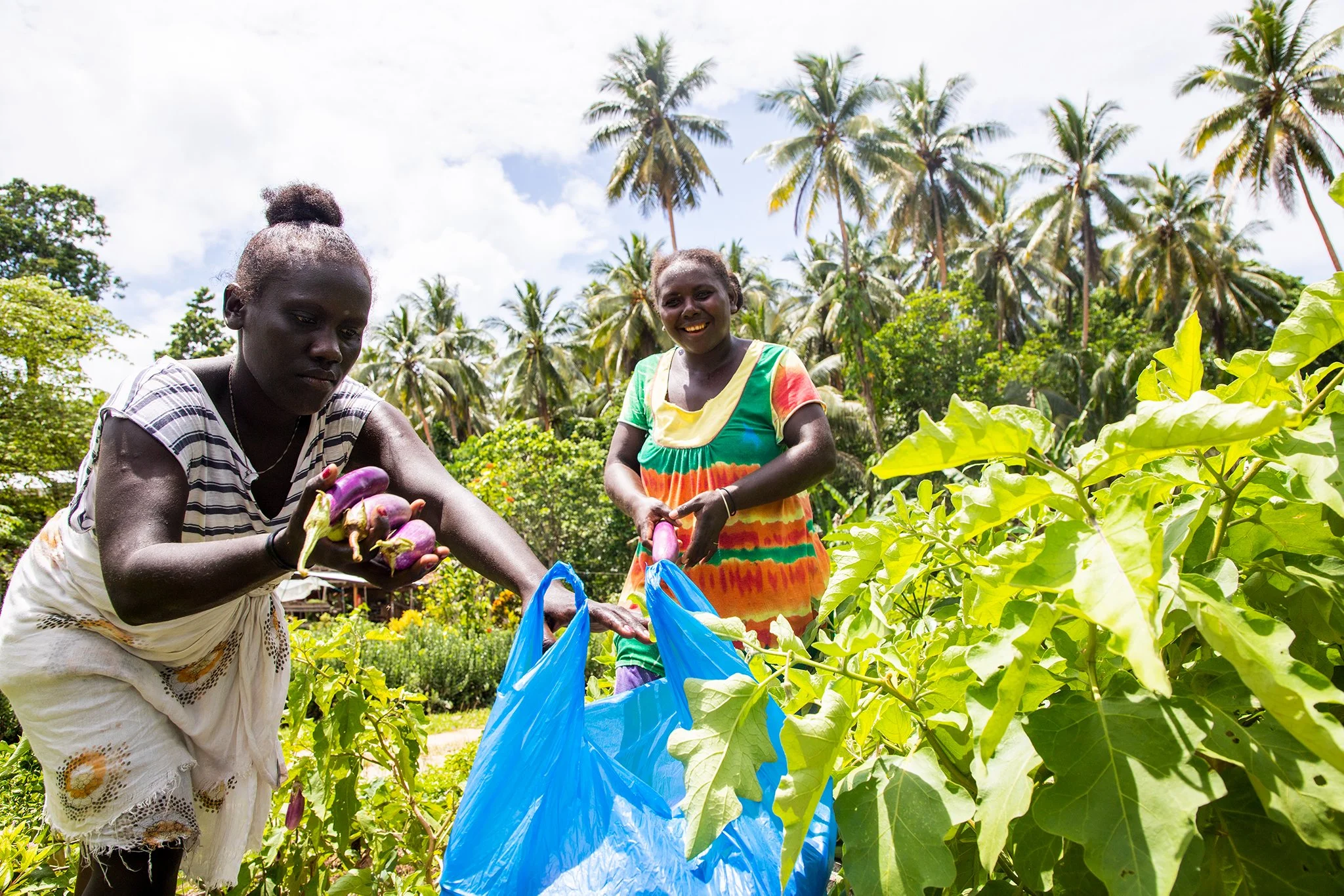 Growing more food secure communities in Solomon Islands