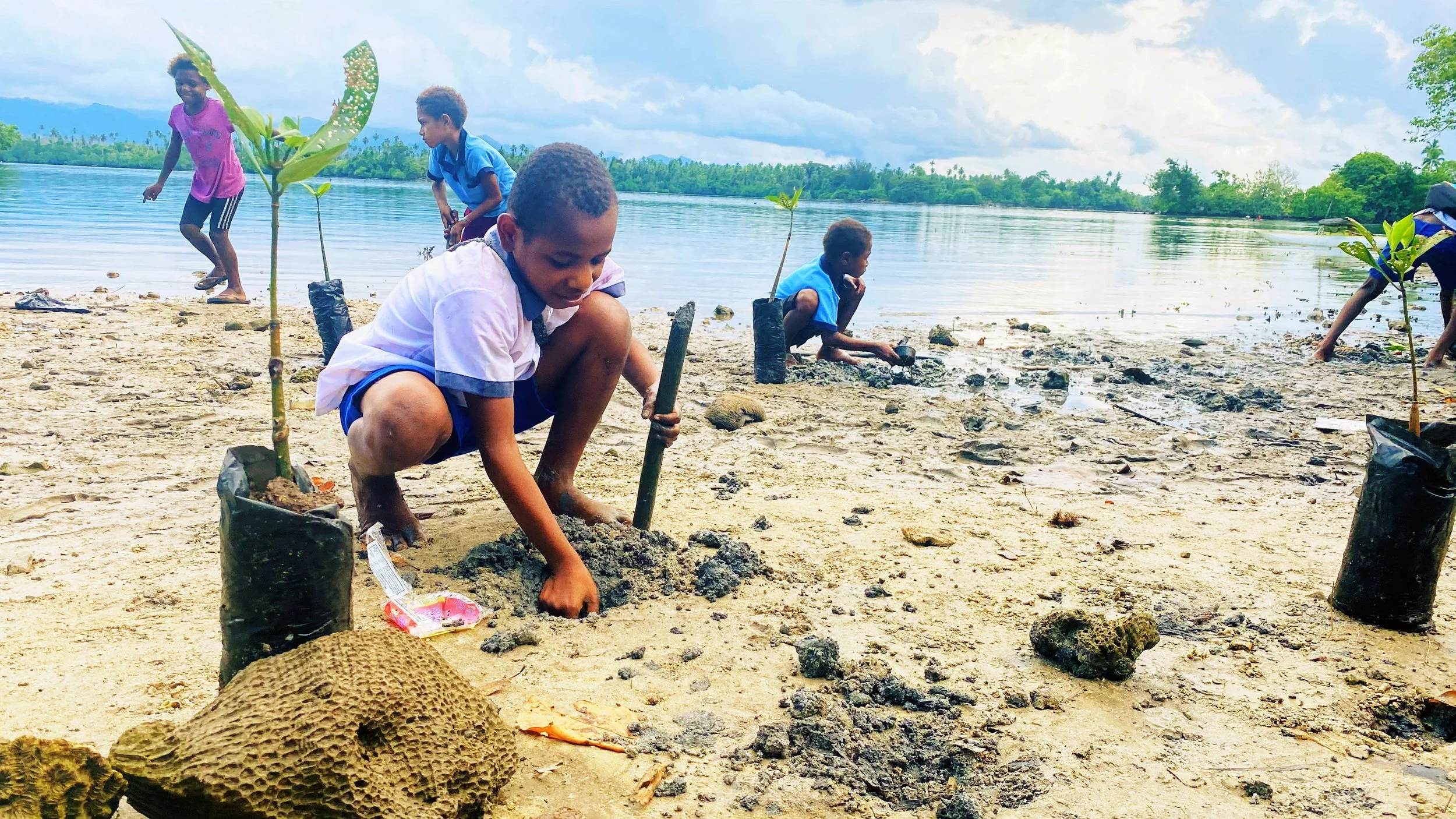 Community responses to climate change on Madang’s North Coast Road