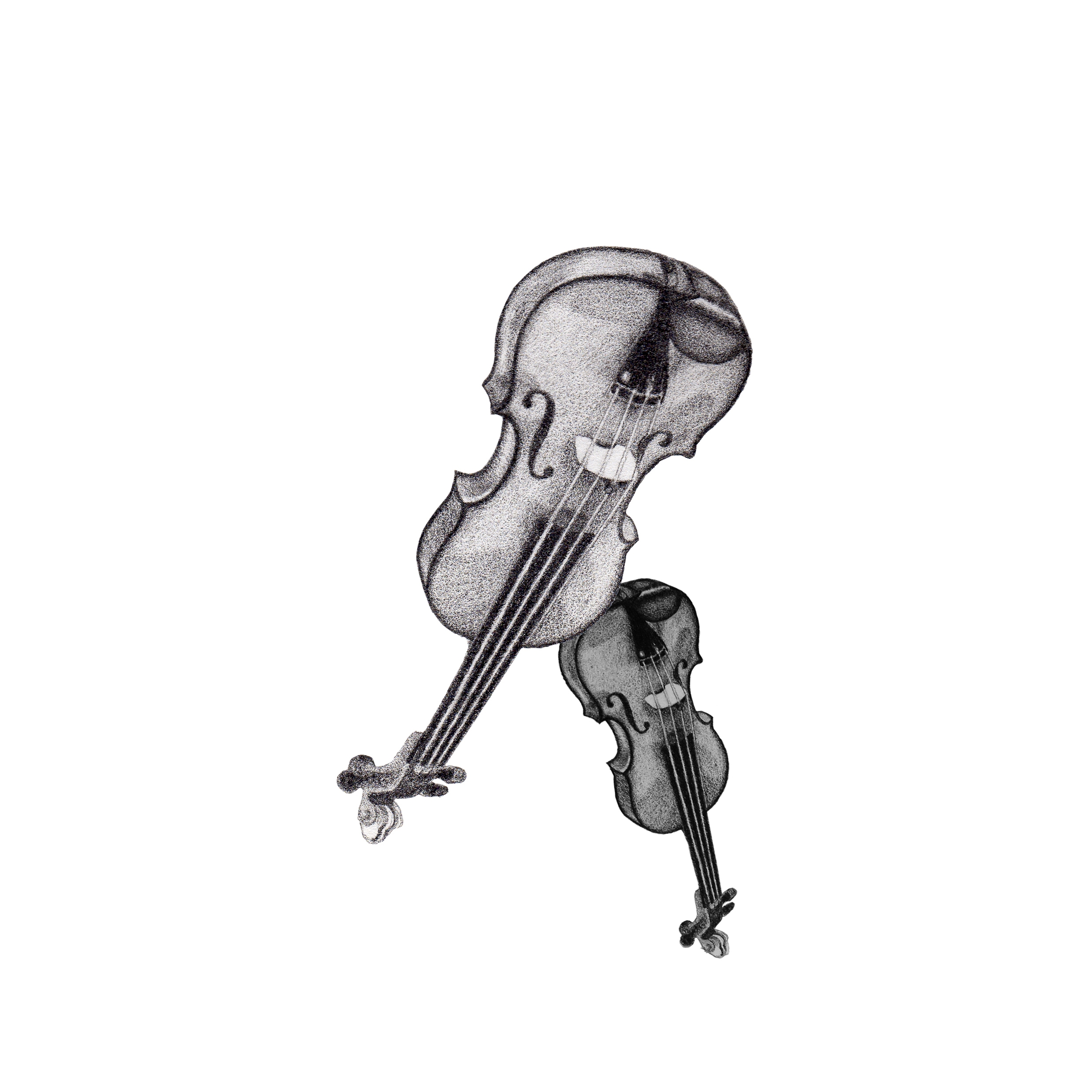 Violin