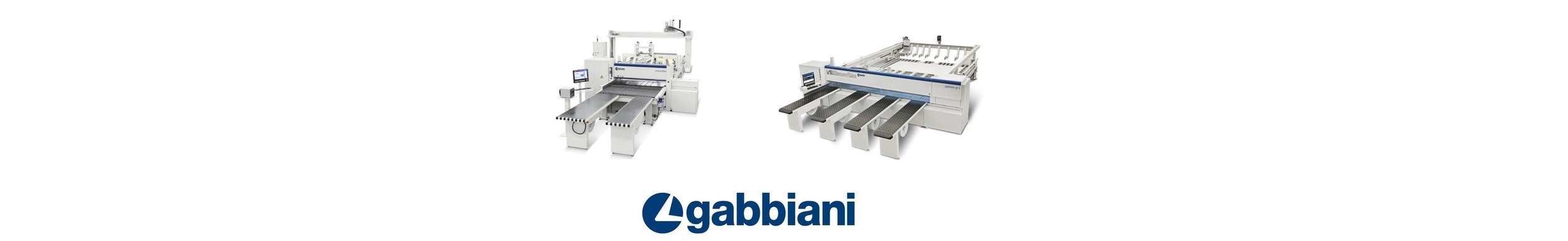 Gabbiani.jpg