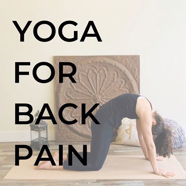 Repost from @smokymtnyoga
&bull;
✨New video up on YouTube! ✨A soothing 12-minute practice for instant back pain relief. Link in bio🎥🎥🎥
.
.
.
#yogaforbeginners #yogaforbackpain #yogatherapy #easyyoga #yogatutorials #yogavideo #youtube #smokymountai