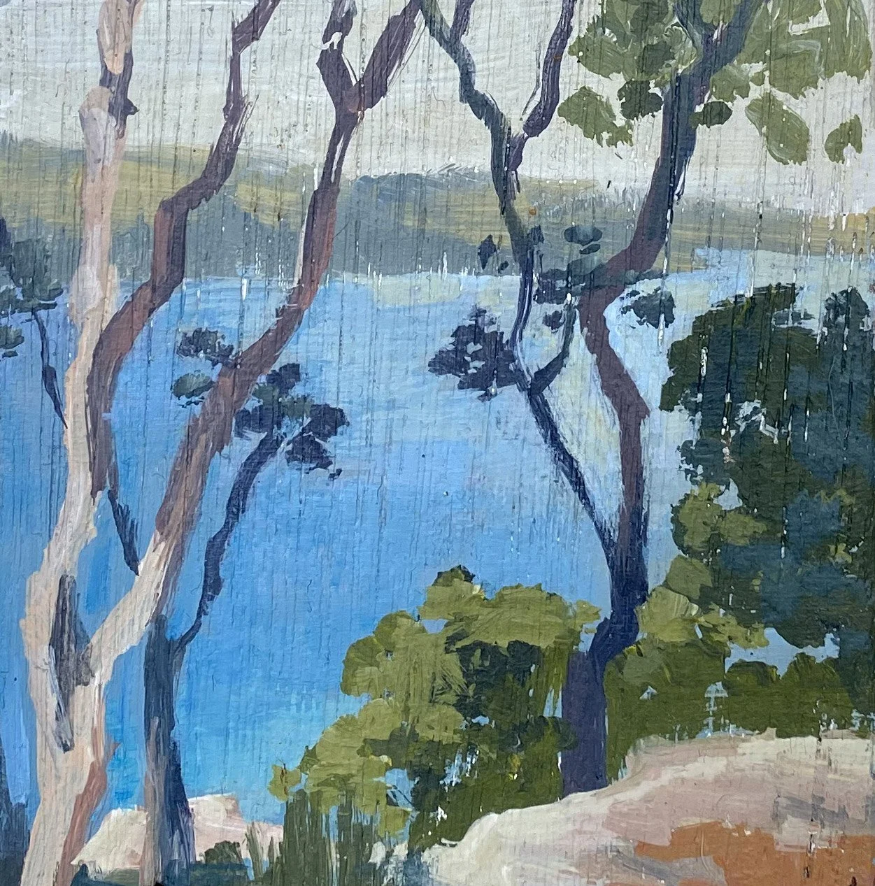 Tree view  crop.jpg