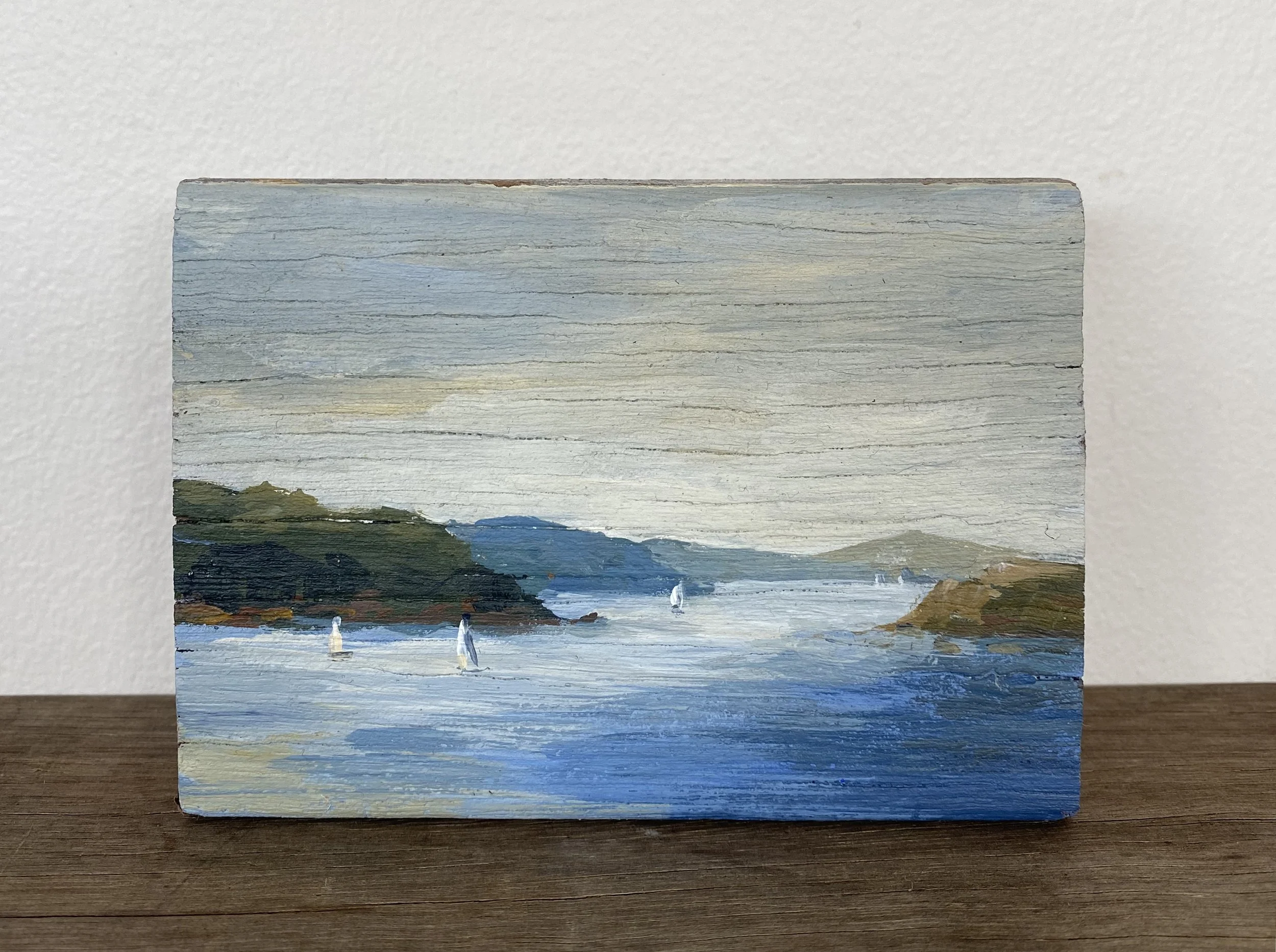 Pittwater view.jpg