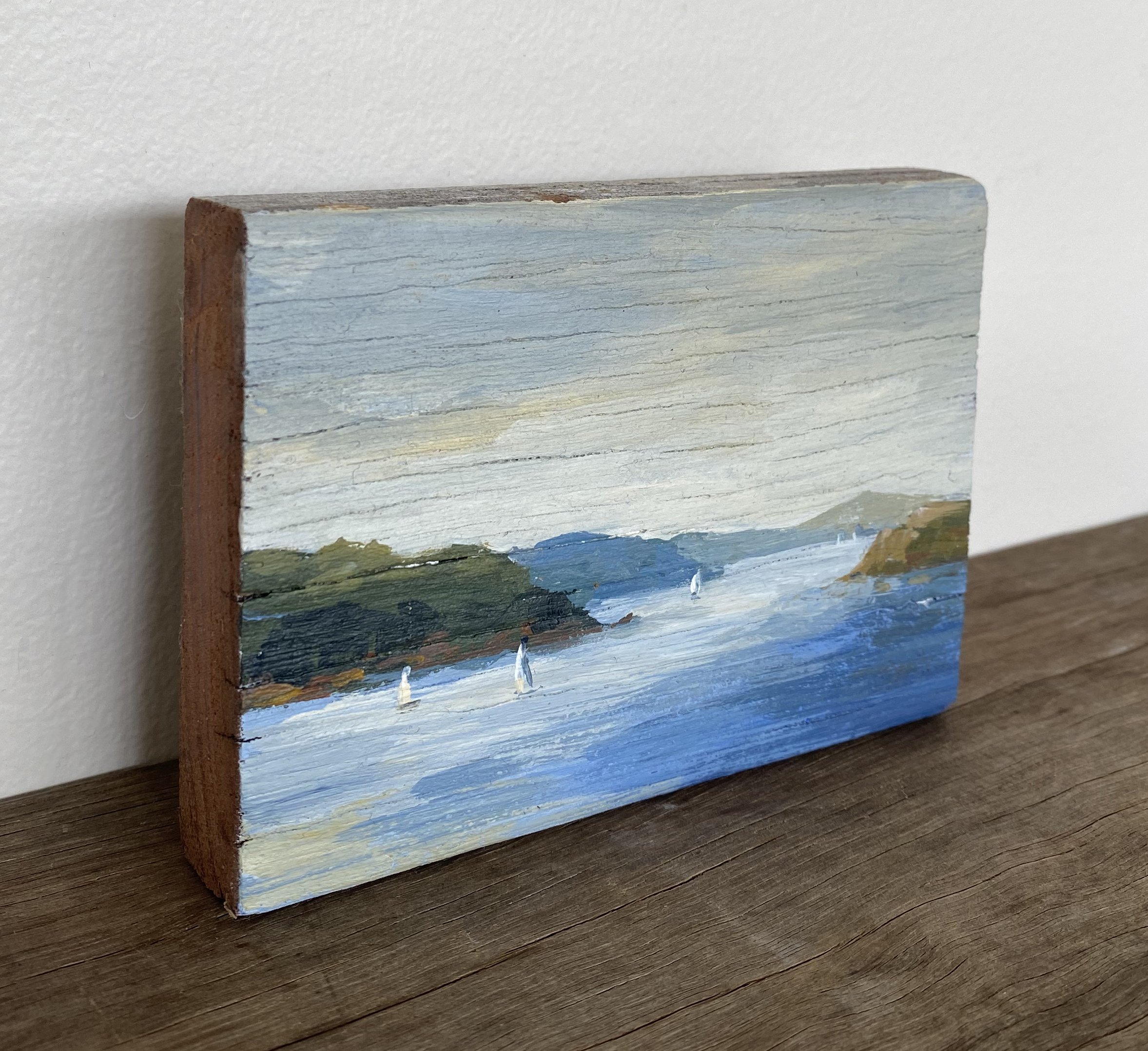 Pittwater view side.jpg