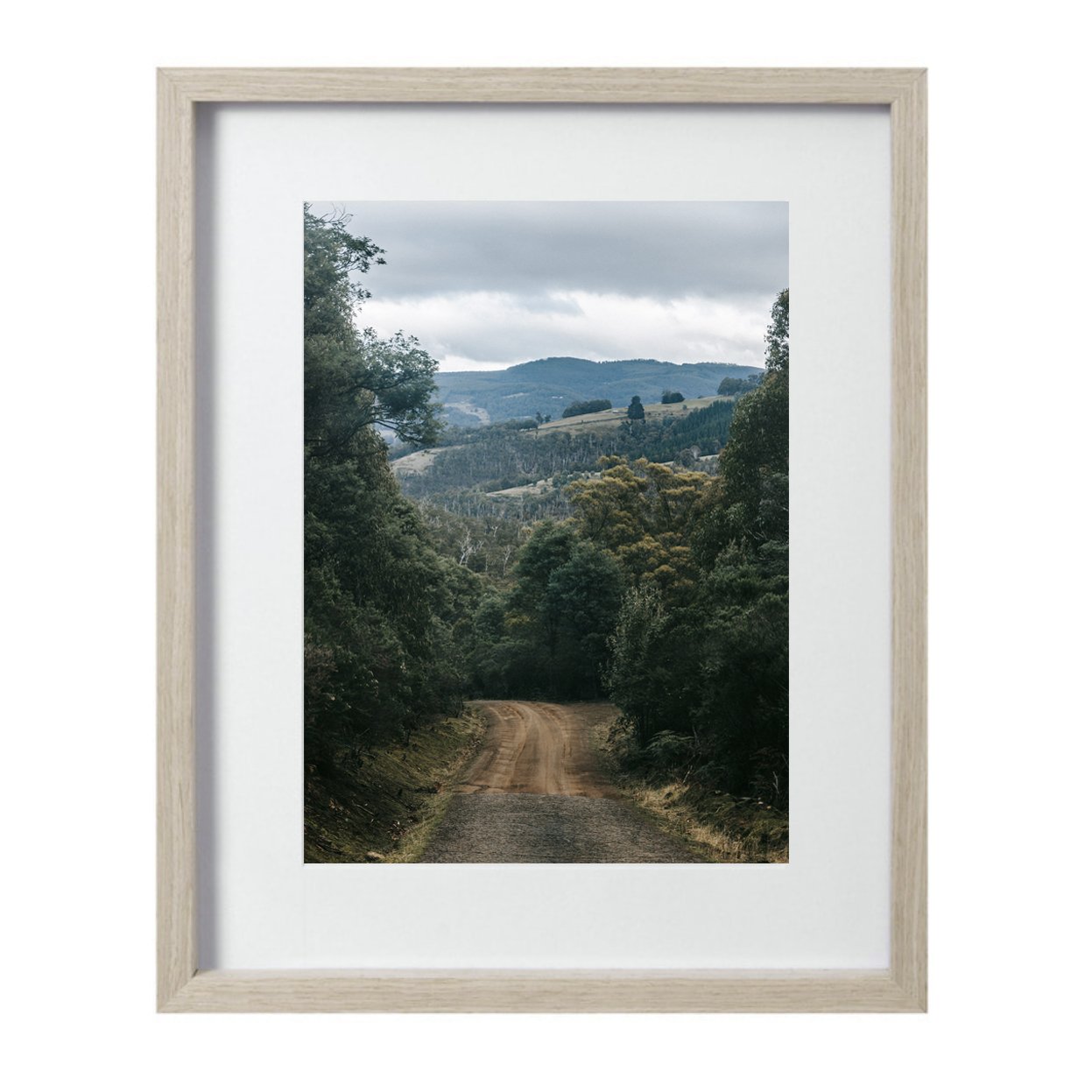 ALL FRAMES_road oak.jpg